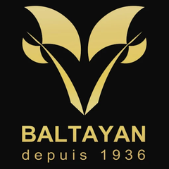 Baltayan Logo